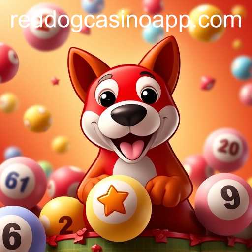 Exploring the Exciting World of Bingo Games at RedDogCasino
